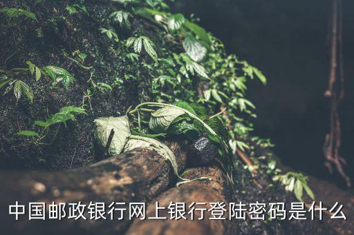 中國(guó)郵政銀行網(wǎng)上銀行登陸密碼是什么