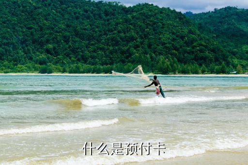 什么是預(yù)付卡
