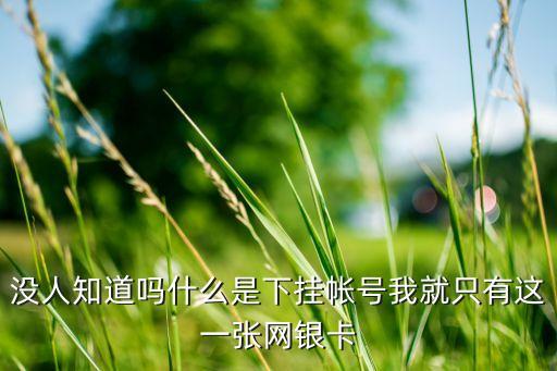 證券帳戶里下掛是什么，沒人知道嗎什么是下掛帳號我就只有這一張網(wǎng)銀卡