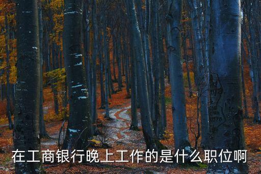 銀行什么職位晚上上班，在工商銀行晚上工作的是什么職位啊