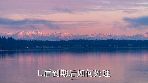 U盾到期后如何處理