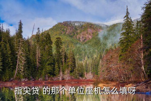 指尖貸 的那個單位座機怎么填呀