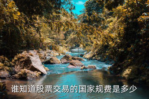 股票交易規(guī)費是什么，股票交易規(guī)費是什么他和凈傭金有什么區(qū)別