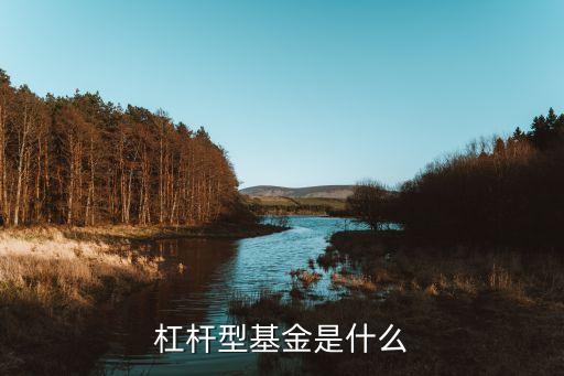 杠桿型基金是什么