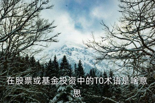 基金t 0什么意思，在股票或基金投資中的T0術(shù)語是啥意思