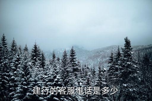 建行的客服電話是多少
