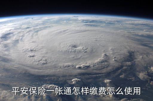 平安產(chǎn)險(xiǎn)保費(fèi)通是什么，平安產(chǎn)險(xiǎn)是什么險(xiǎn)種