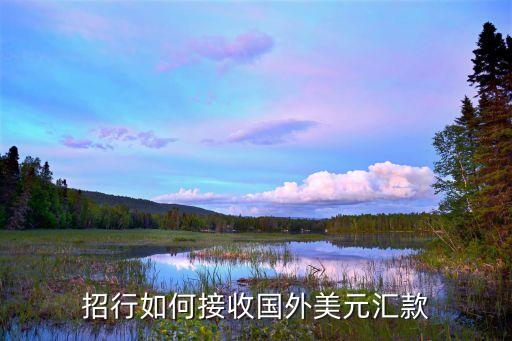 招商銀行怎么收外匯，招行如何接收國外美元匯款
