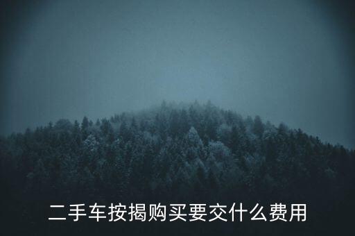 二手車(chē)按揭購(gòu)買(mǎi)要交什么費(fèi)用