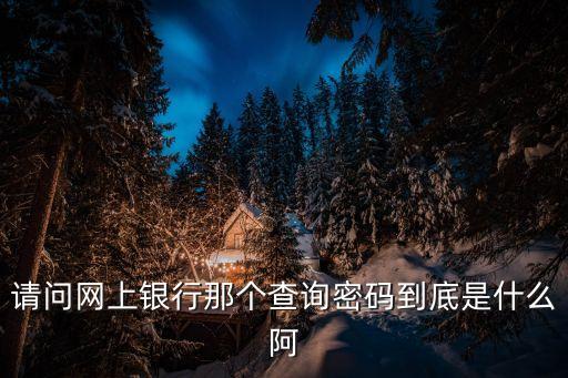 請問網(wǎng)上銀行那個(gè)查詢密碼到底是什么阿