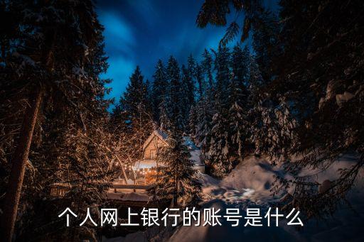 個人網(wǎng)上銀行的賬號是什么