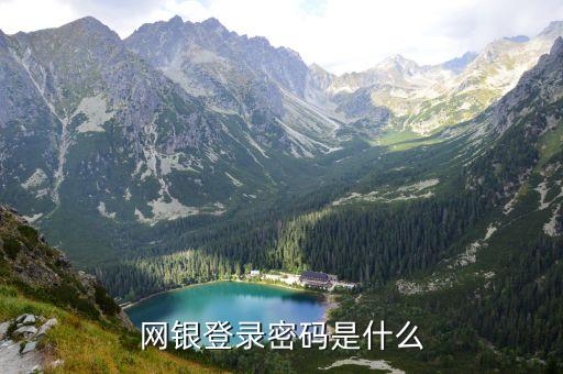 對公網(wǎng)銀操作員密碼是什么，網(wǎng)上銀行單位客戶登錄的密碼是什么