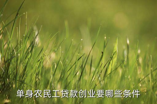 單身農(nóng)民工貸款創(chuàng)業(yè)要哪些條件