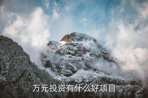 萬元投資有什么好項目