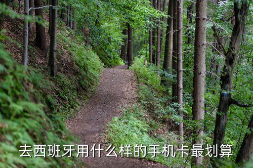 出國用什么手機卡，在國外用什么手機卡啊