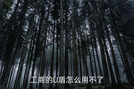 工行u盾貌似沒什么用，工商銀行U盾有什么用