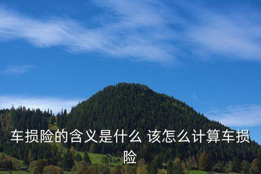 什么是車損險，什么是車輛損失險