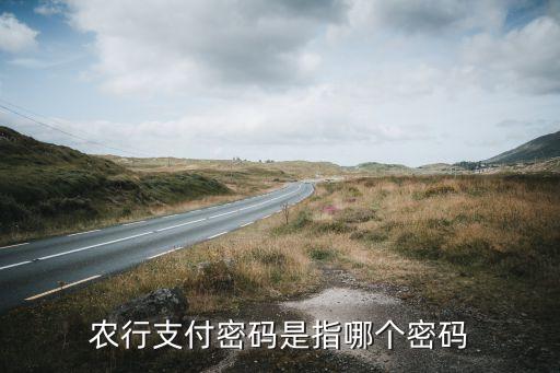 農(nóng)行短信認證支付密碼是什么，農(nóng)行手機銀行的賬戶支付密碼是什么