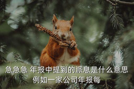 急急急 年報(bào)中提到的派息是什么意思例如一家公司年報(bào)每