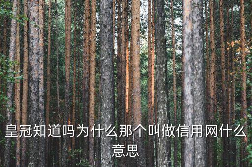 信用網(wǎng)什么意思是什么意思是什么，滾球信用網(wǎng)是什么意思
