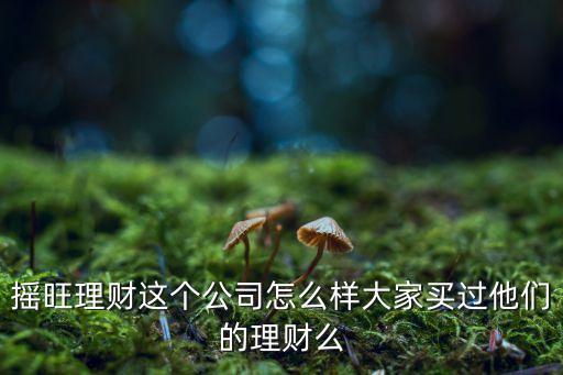 搖旺理財這個公司怎么樣大家買過他們的理財么