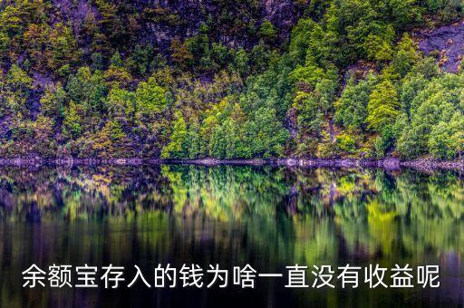 余額寶存入的錢(qián)為啥一直沒(méi)有收益呢