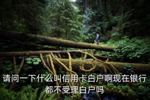請問一下什么叫信用卡白戶啊現(xiàn)在銀行都不受理白戶嗎