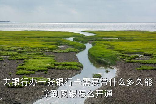 去銀行辦一張銀行卡需要帶什么多久能拿到網(wǎng)銀怎么開通