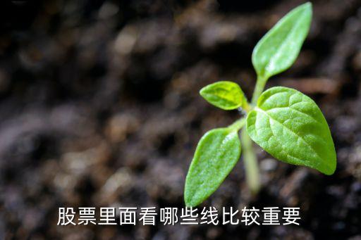 股票里面看哪些線比較重要