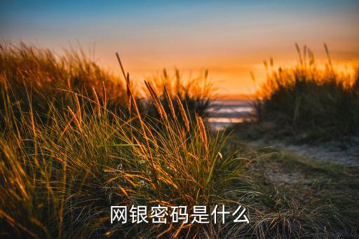 網(wǎng)銀密碼是什么