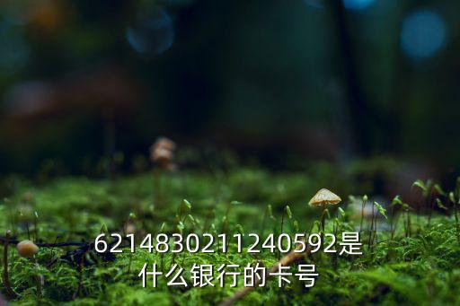 6214830211240592是什么銀行的卡號
