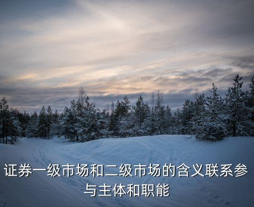 證券一級市場和二級市場的含義聯(lián)系參與主體和職能