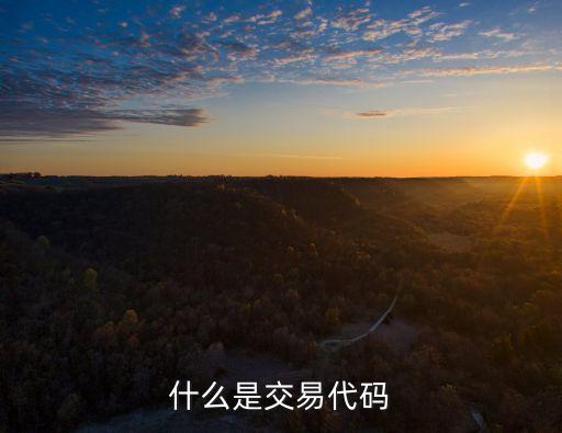 什么是交易代碼