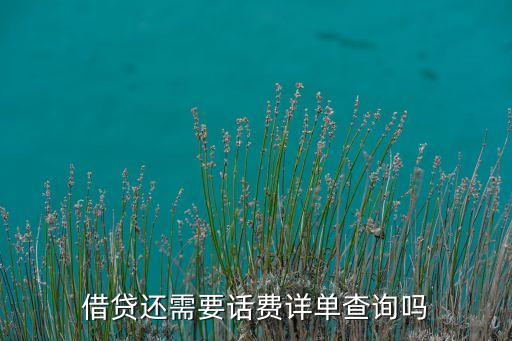 借貸還需要話費(fèi)詳單查詢嗎