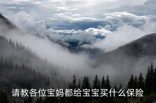 請(qǐng)教各位寶媽都給寶寶買(mǎi)什么保險(xiǎn)