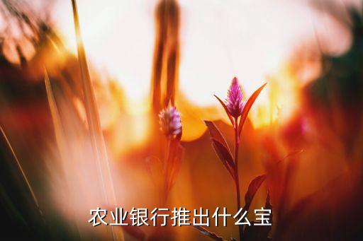 理財(cái)軟件什么寶，理財(cái)用什么寶好