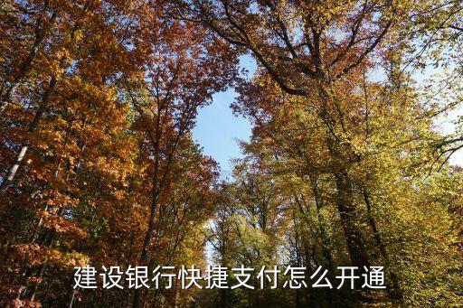 建設(shè)銀行快捷支付怎么開通