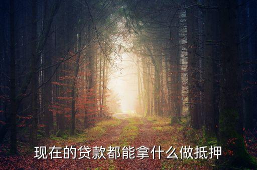 現(xiàn)在的貸款都能拿什么做抵押