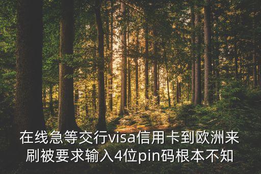 在線急等交行visa信用卡到歐洲來刷被要求輸入4位pin碼根本不知