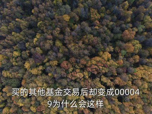 買的其他基金交易后卻變成000049為什么會這樣