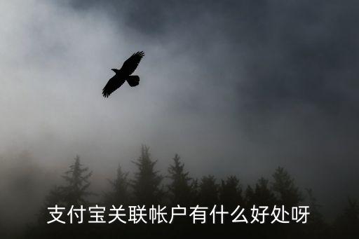 支付寶關(guān)聯(lián)賬戶有什么好處，支付寶 關(guān)聯(lián)賬戶 有什么用途