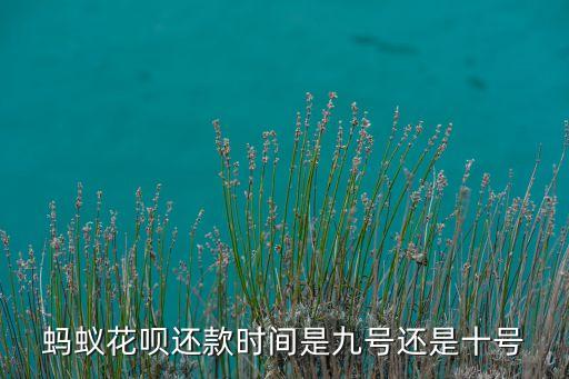 螞蟻花唄還款時間是九號還是十號