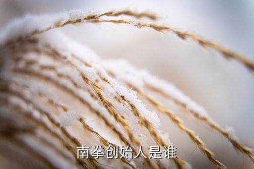 嚴(yán)定貴 什么人，南拳創(chuàng)始人是誰