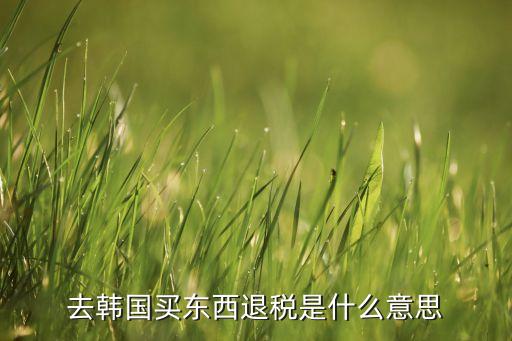 去韓國(guó)買東西退稅是什么意思