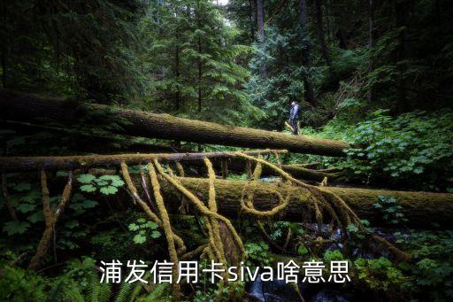 浦發(fā)ar信用卡什么意思，浦發(fā)信用卡siva啥意思