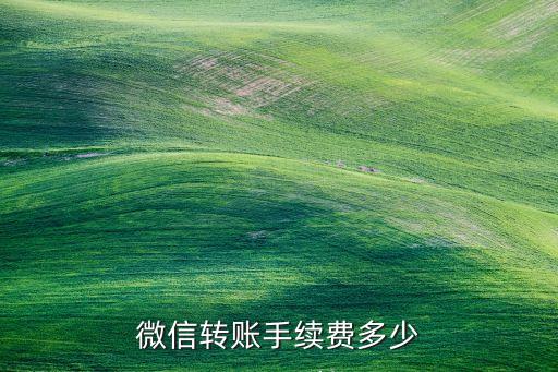 微信轉(zhuǎn)賬手續(xù)費(fèi)多少