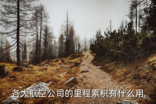 積累里程有什么用，各大航空公司的里程累積有什么用