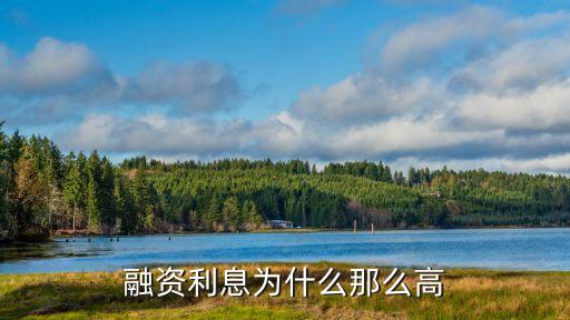 為什么金融公司利息高，為什么理財(cái)公司的利率會(huì)那么高啊