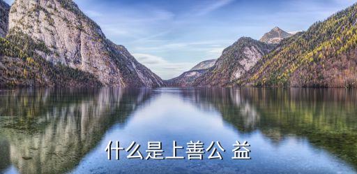 什么是上善公 益