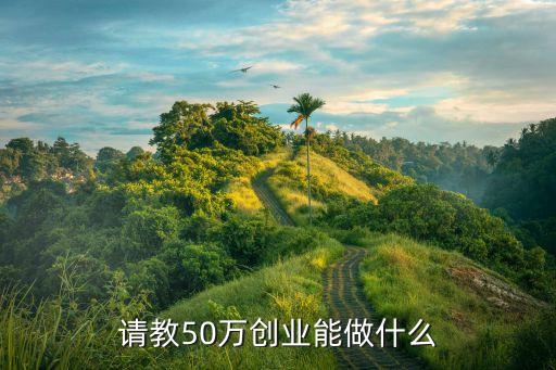 請教50萬創(chuàng)業(yè)能做什么